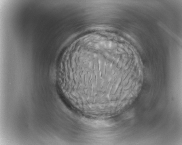 X0000068290016200605051919