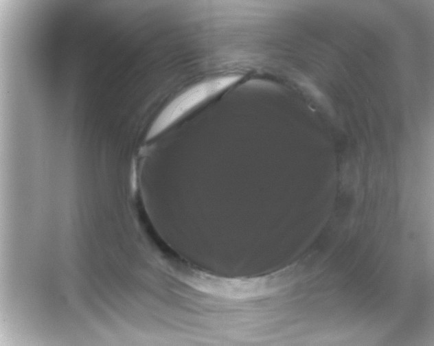 X0000068290027200605051919