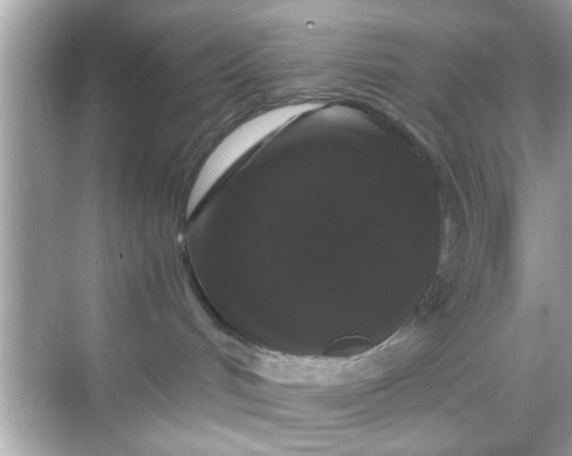 X0000068290048200605051918