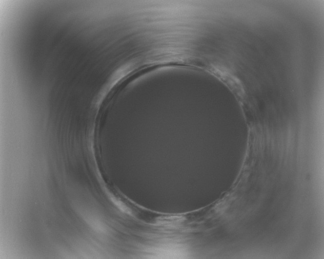 X0000068290051200605051918