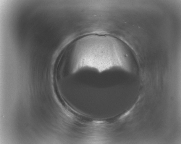X0000068290055200605051918