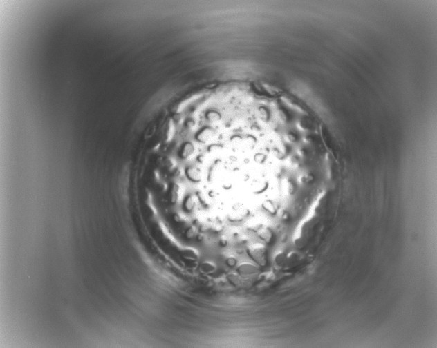 X0000068290058200605051918