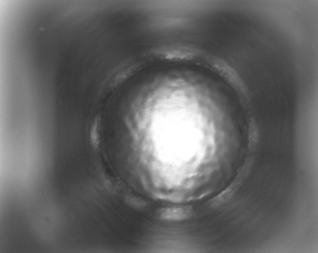 X0000068290074200605051918