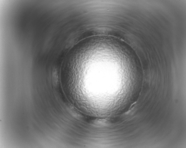 X0000068290086200605051918