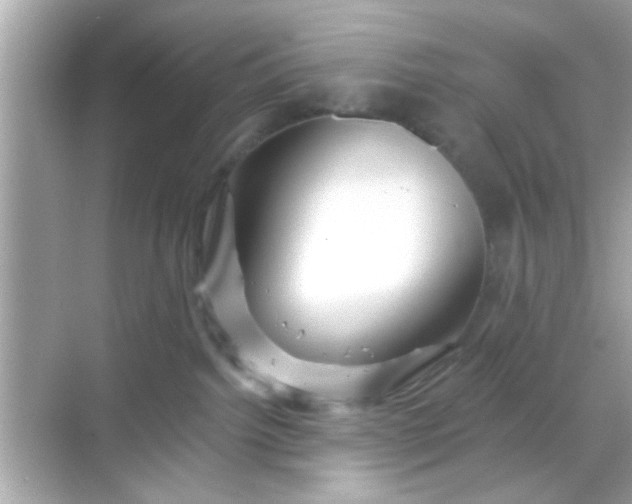 X0000068290092200605051918