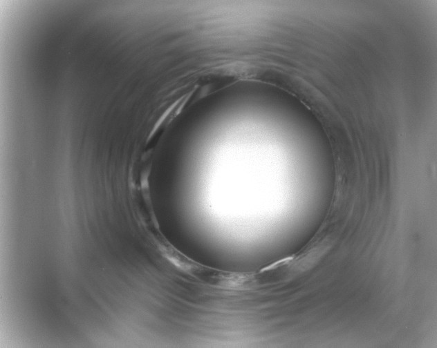 X0000068290096200605051918