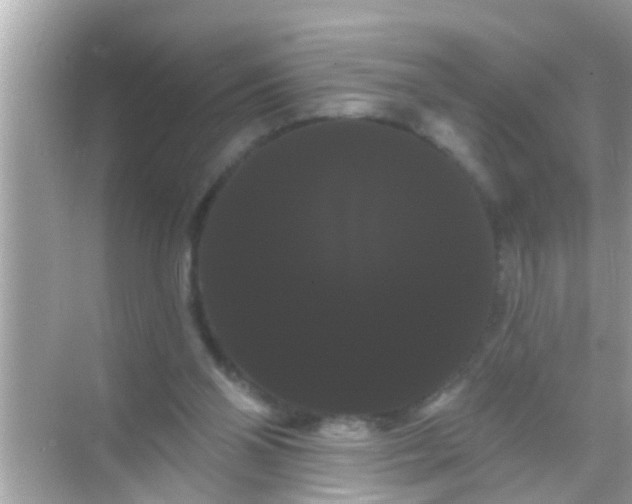 X0000068290110200605051917