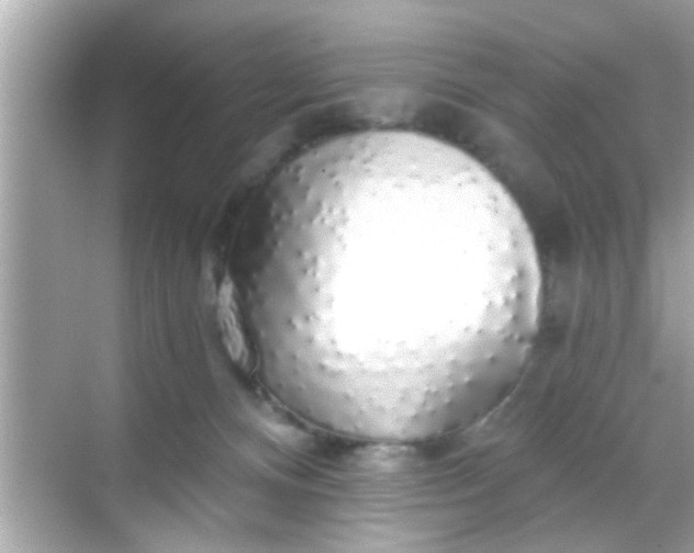 X0000068290128200605051917