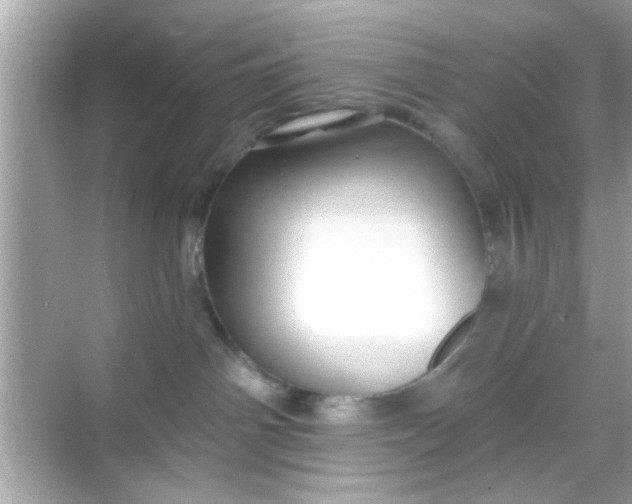 X0000068290142200605051917