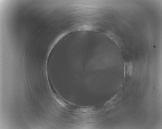 X0000068290147200605051916