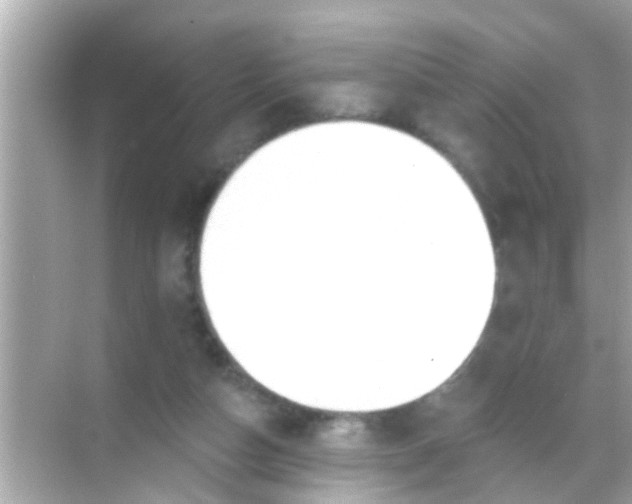 X0000068290162200605051916