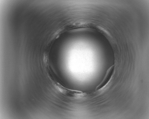 X0000068290192200605051917