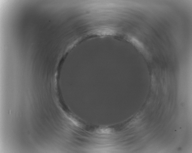 X0000068290202200605051916