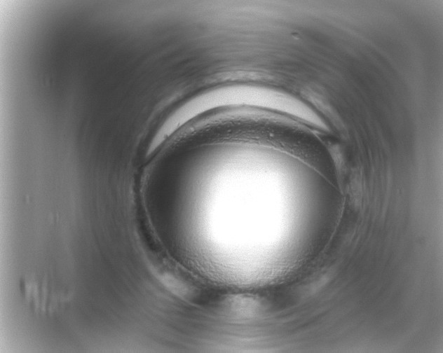 X0000068290207200605051916
