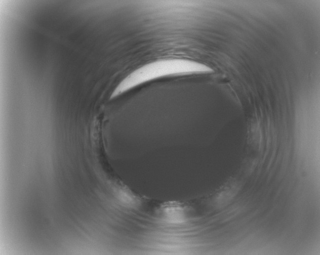 X0000068290228200605051915