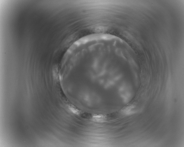 X0000068290240200605051915