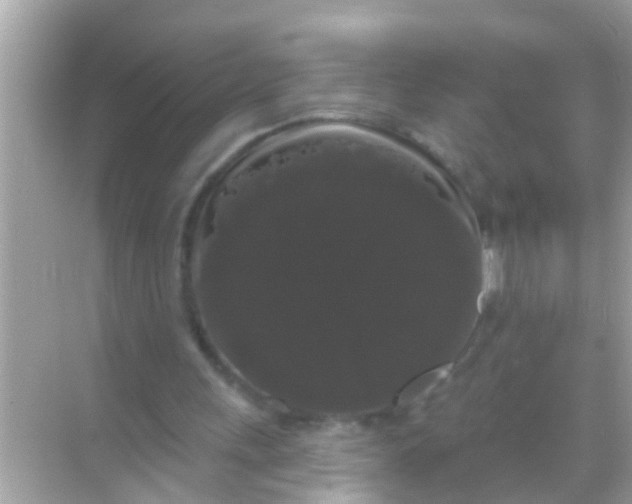 X0000068290243200605051914