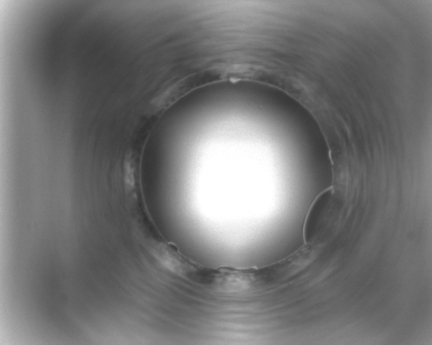X0000068290282200605051915