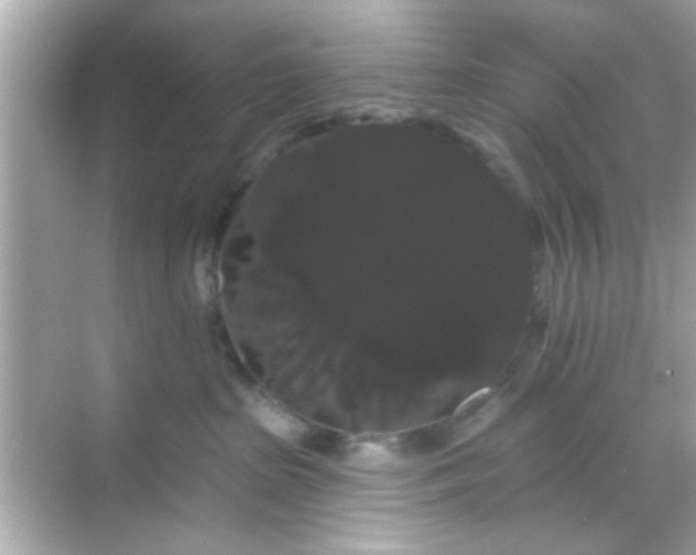 X0000068290285200605051915