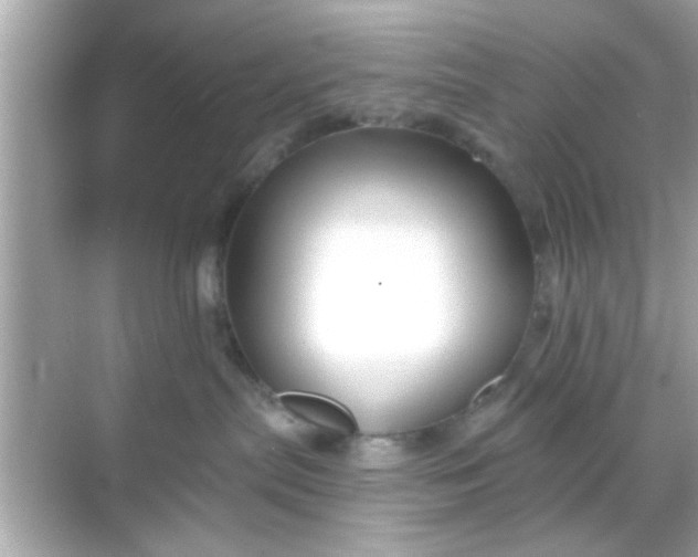 X0000068290287200605051915