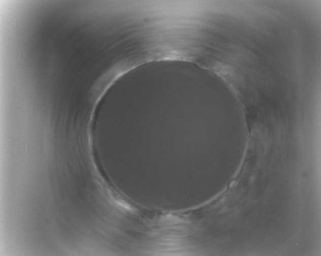 X0000068290290200605051914