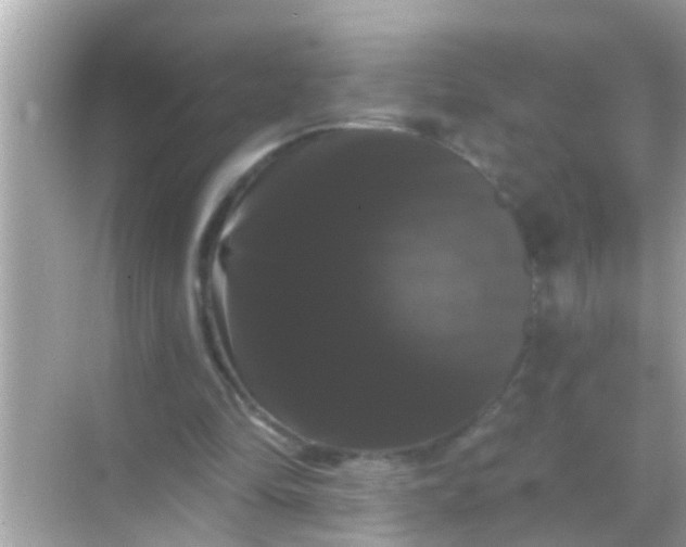 X0000068290294200605051914