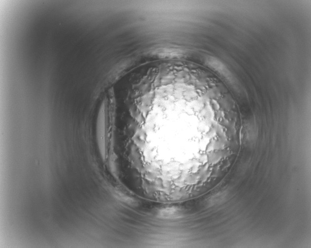 X0000068290309200605051914
