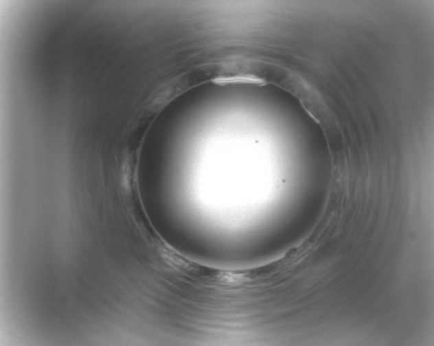 X0000068290333200605051914