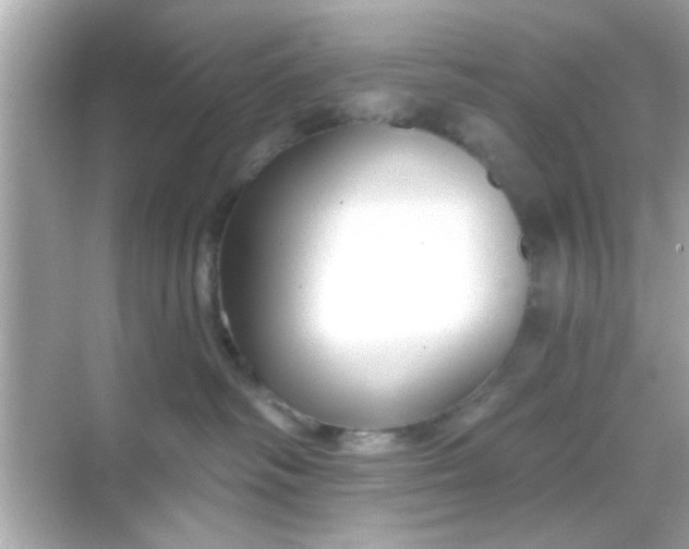 X0000068290334200605051914