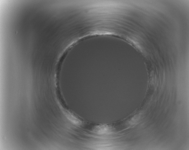 X0000068290351200605051913