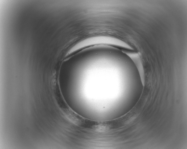 X0000068290356200605051913