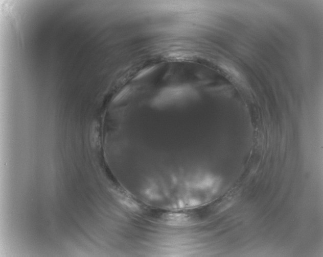 X0000068290361200605051913