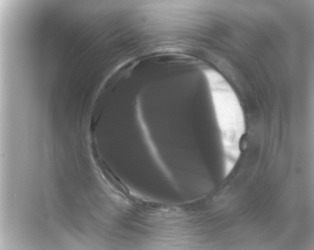 X0000068290386200605051913