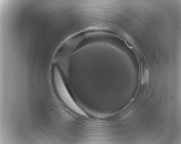 X0000068290387200605051913