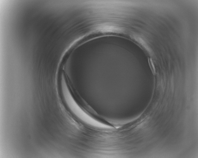 X0000068290391200605051913