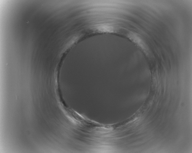 X0000068290398200605051912