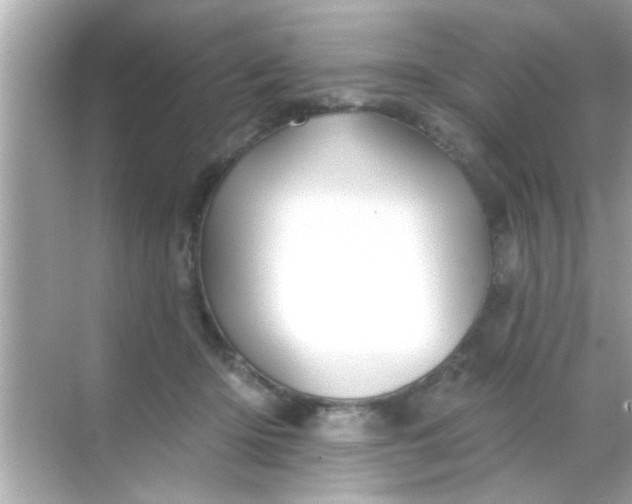 X0000068290414200605051912