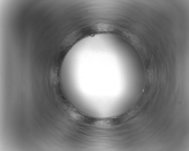 X0000068290422200605051912