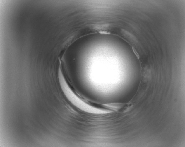 X0000068290428200605051912