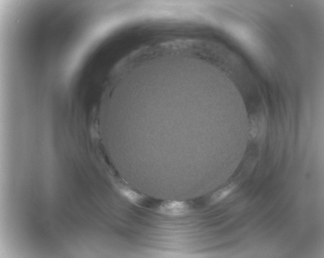X0000068290431200605051912