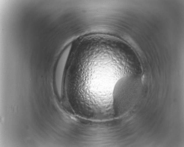 X0000068290434200605051911
