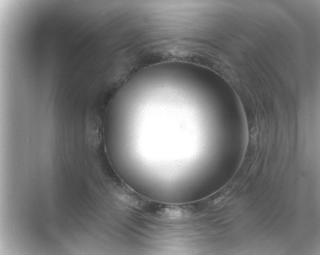 X0000068290464200605051912