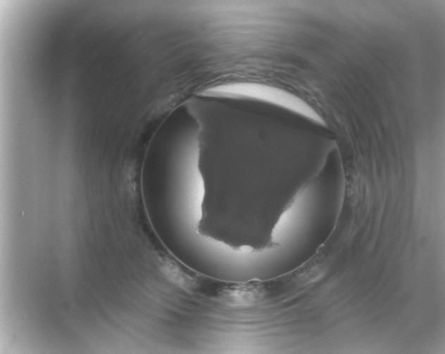 X0000068290466200605051912