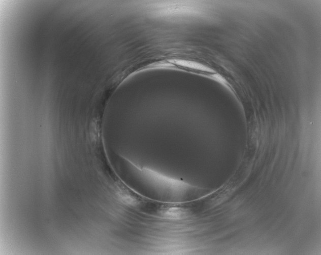 X0000068290467200605051912