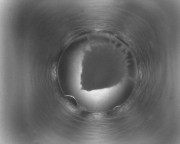 X0000068290479200605051912