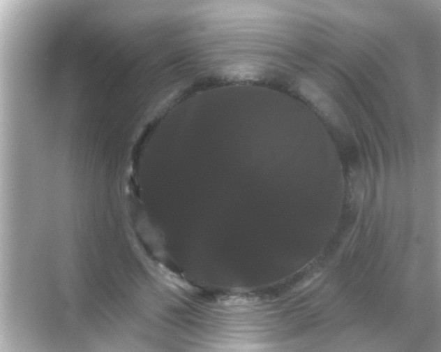 X0000068290494200605051911