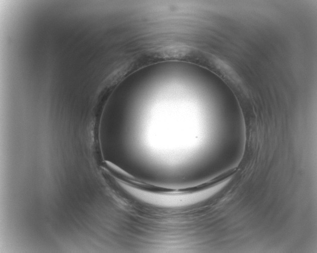 X0000068290501200605051911