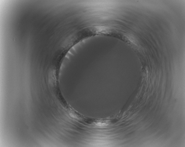 X0000068290506200605051911