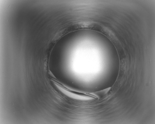 X0000068290509200605051911
