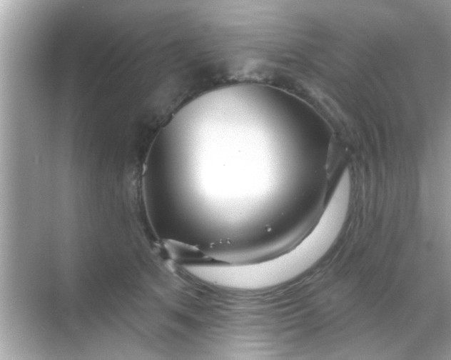 X0000068290513200605051911